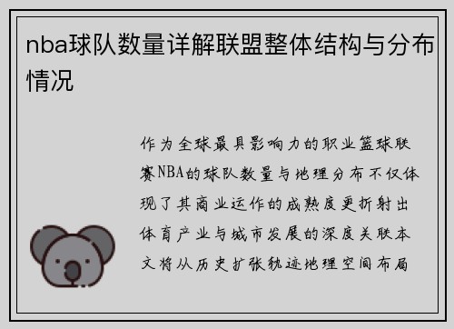 nba球队数量详解联盟整体结构与分布情况