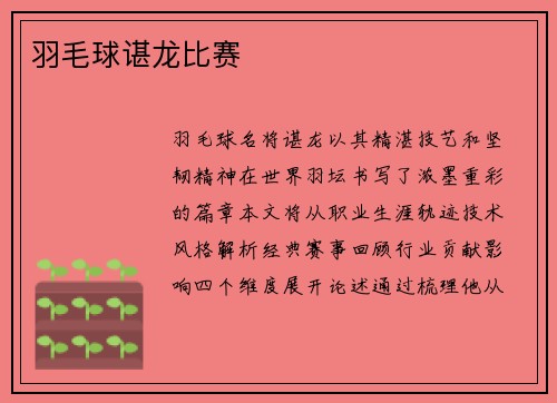 羽毛球谌龙比赛