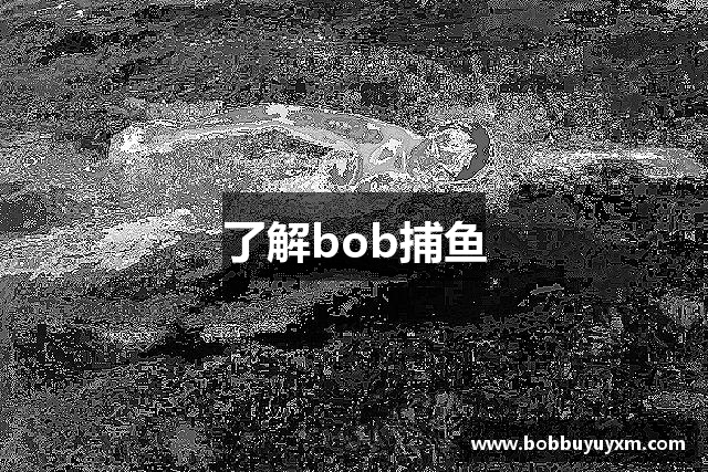 了解bob捕鱼
